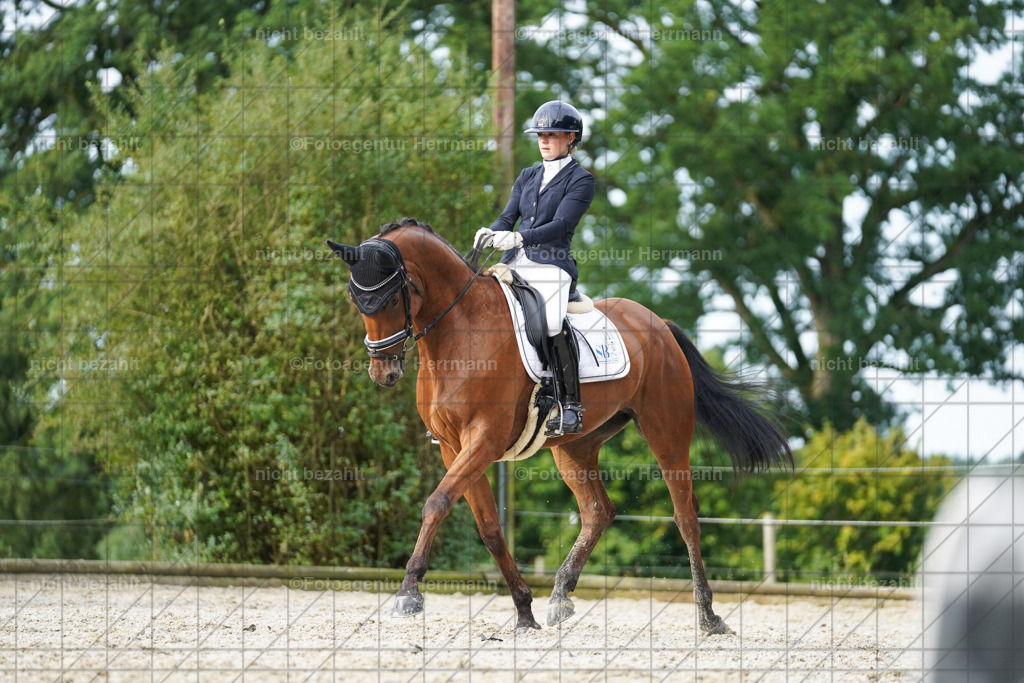 20230826-FAH04550 | Forstinning, 2023, Dressurturnier, Turniersportbilder, Turnierfotografen Bayern, Fotoagentur Herrmann, Reitsportfotografie, Turnierbilder