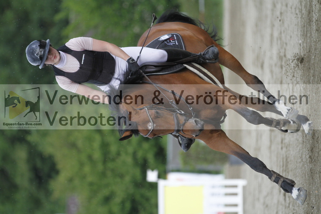 _MG_6556 | equestrian-live-com