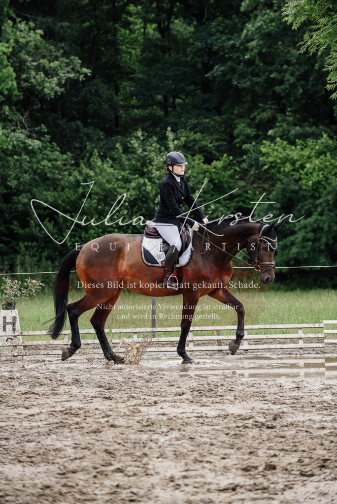 DSC_0734 | Pferde- und Turnierfotografie in Westsachsen. Pferdeportraits, Auftragszeichnungen und intuitive Kunst.