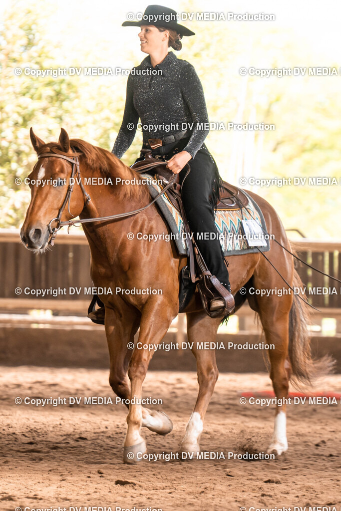 Erbach Tag 1-603 | dv-media-shop - Realisiert mit Pictrs.com