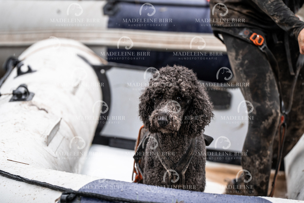 madeleinebirr-fotografie2025.campcanis.11-12Uhr-175 | hundefotografie-birr