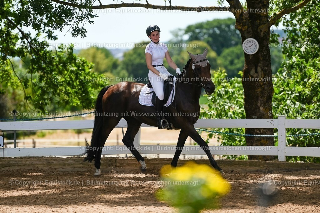 20230715_09_Dressur-WB_0269 | equistock