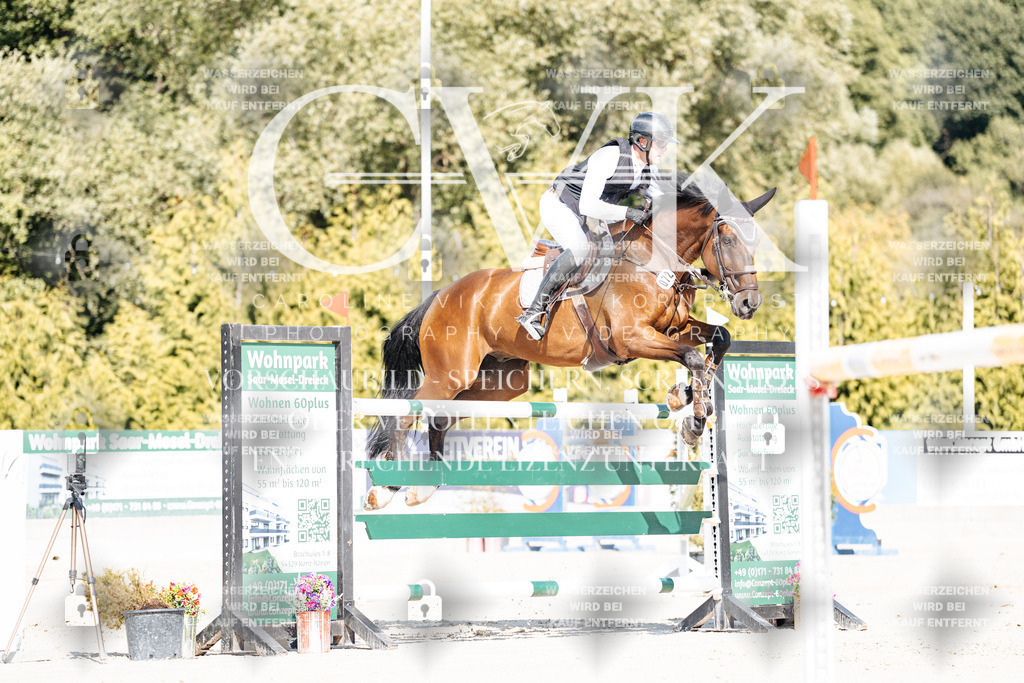 CK909083 | Turnierfotografie Pferdefotografie Trier Rheinland-Pfalz Pferdesport Reitsport Tierfotografie Sportfotografie Pferdevideo Pferdevideografie Equestrianvideography equestrianphotography  - Realisiert mit Pictrs.com