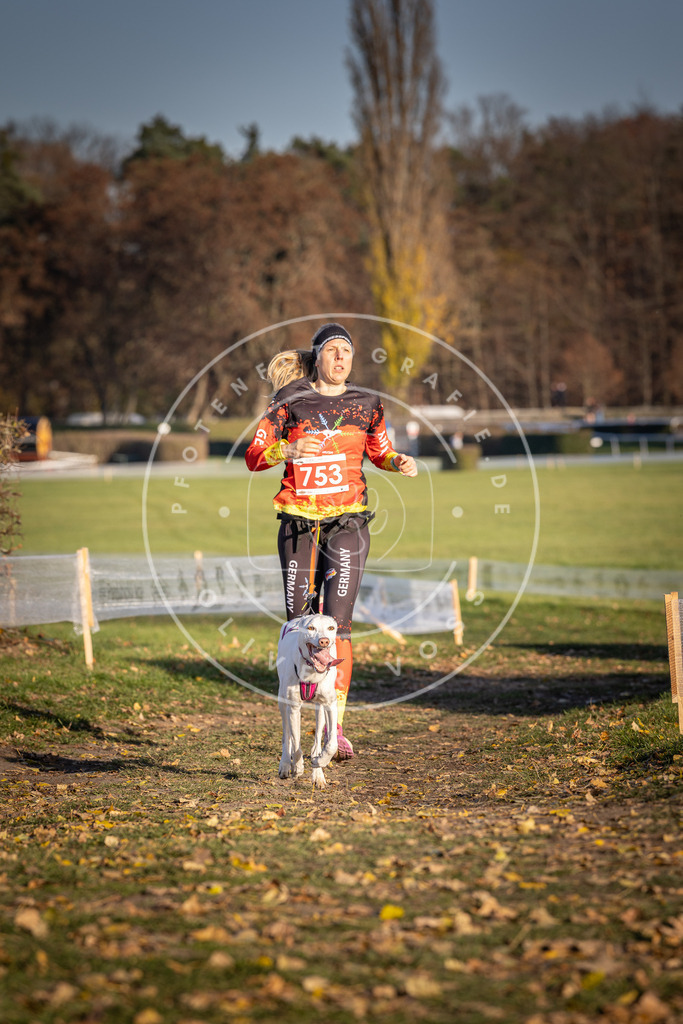 CaniXpix_DV3A2488 | Hundefotografie, Tierfotograf, Pfotenfotografie, Fotoshooting Hund, Hunde Portrait, Hundesport, Hundeportraits, Heideshooting, Hunde, Sportfotograf, Hundefotograf, Turnierhundsport, THS,  - Realisiert mit Pictrs.com