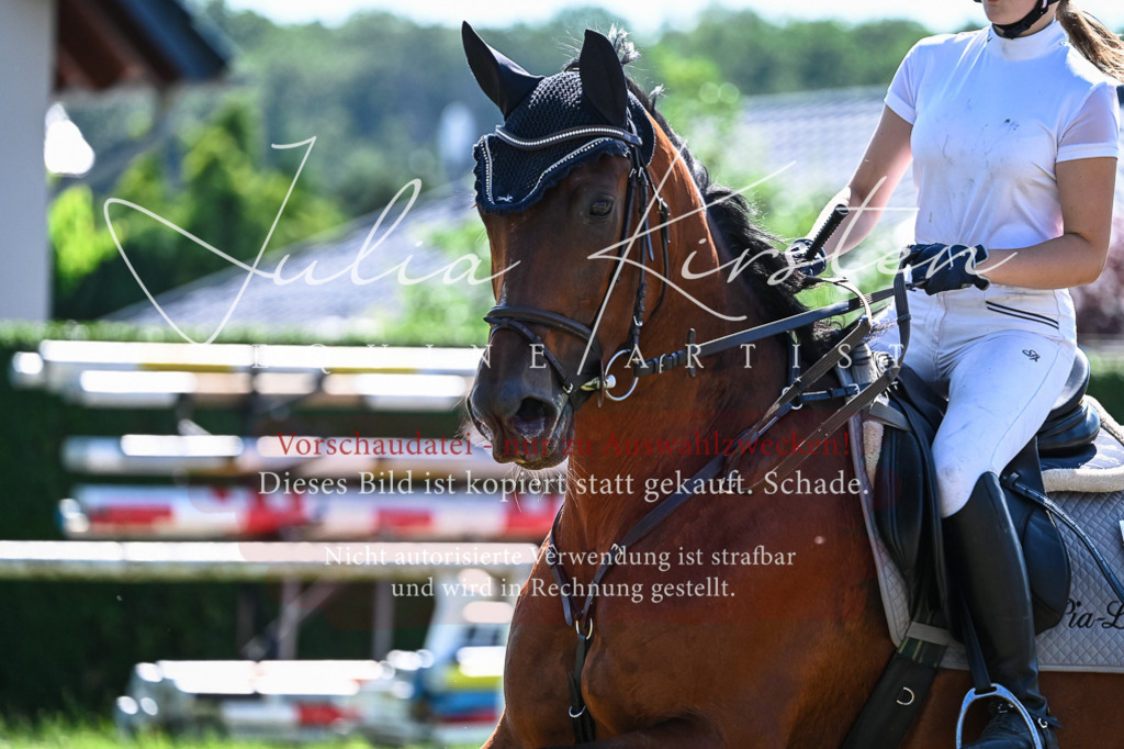DSC_1734 | Pferde- und Turnierfotografie in Westsachsen. Pferdeportraits, Auftragszeichnungen und intuitive Kunst.