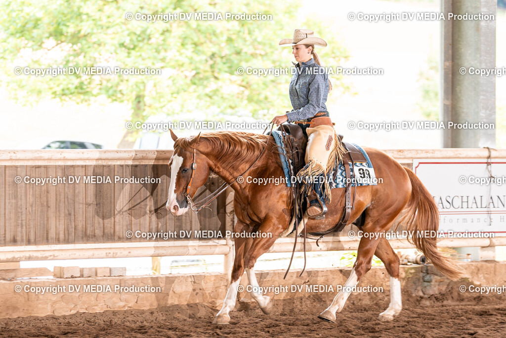 Erbach Tag 3-1274 | dv-media-shop - Realisiert mit Pictrs.com