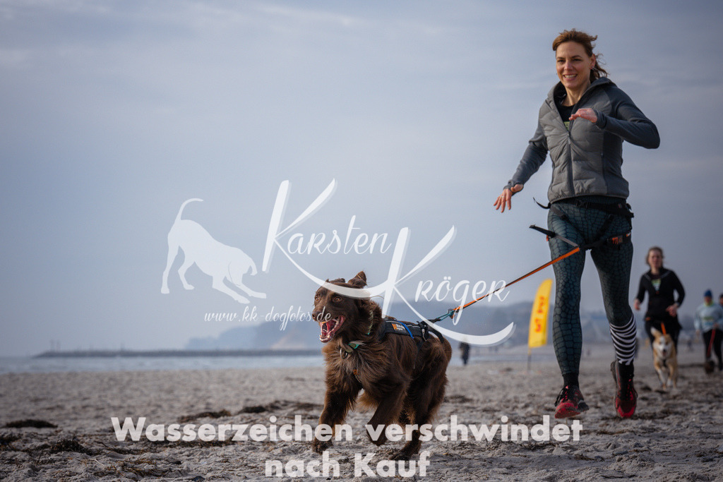 1021_ZZ94931 | kk-dogfotos