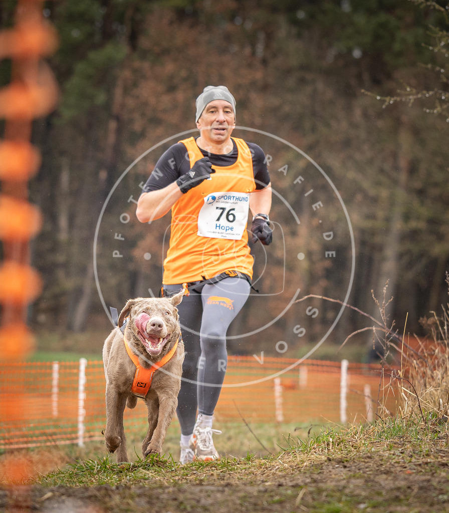 DV3A0295 | Hundefotografie, Tierfotograf, Pfotenfotografie, Fotoshooting Hund, Hunde Portrait, Hundesport, Hundeportraits, Heideshooting, Hunde, Sportfotograf, Hundefotograf, Turnierhundsport, THS,  - Realisiert mit Pictrs.com