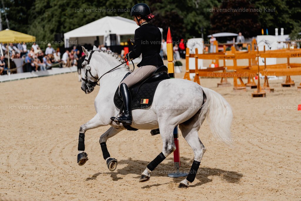Virginie12FHC2025-2620 | working equitationturnier fotograf videograf stoibphotography marixx film working equitation deutschland reitsport turnierfotografie eventfotografie equestrian events