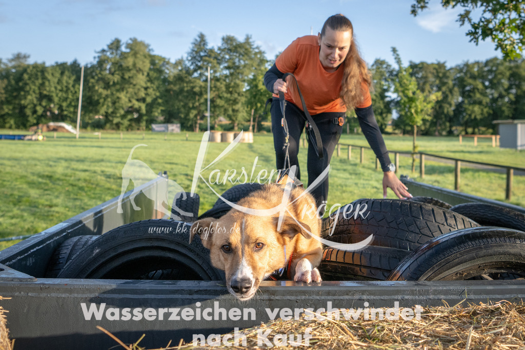 0808_ZZ90447 | kk-dogfotos