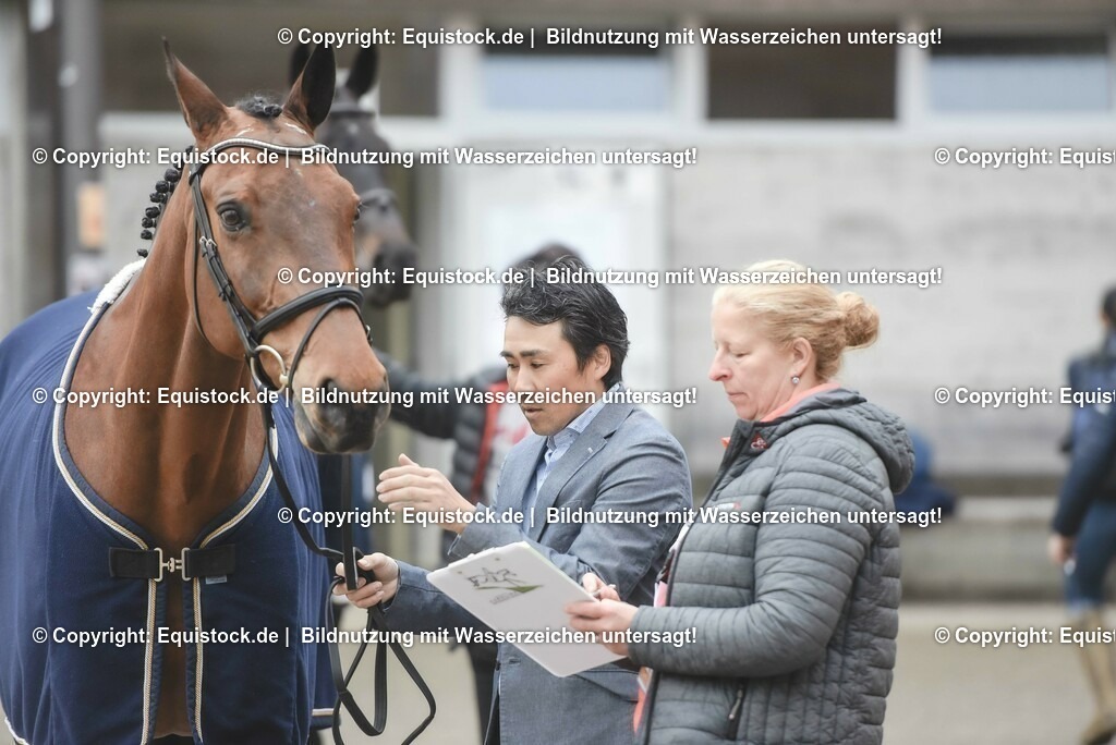 20230514_Impressionen_0163 | equistock
