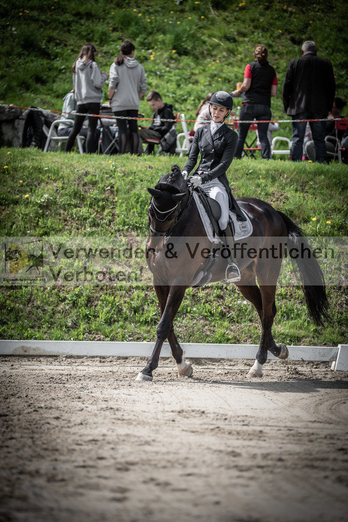 DSC_2228 | equestrian-live-com