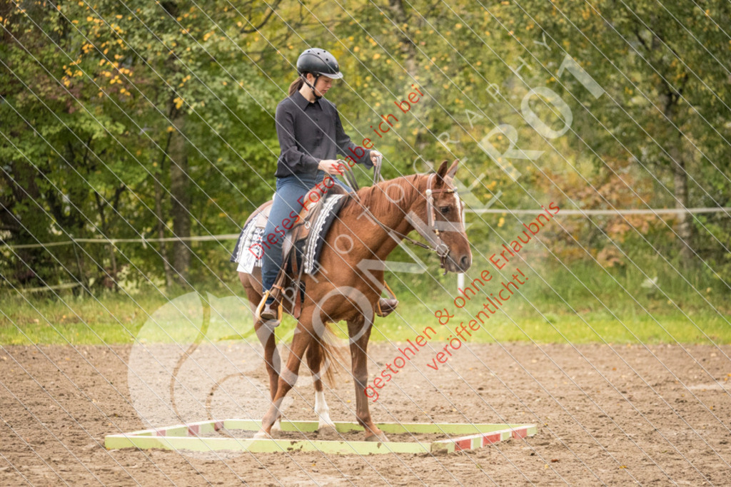 CON_8499 | Sport-, Event- und Tierfotos in Profiqualität. Einfach auswählen, bestellen und herunterladen. Dein Moment – perfekt festgehalten.