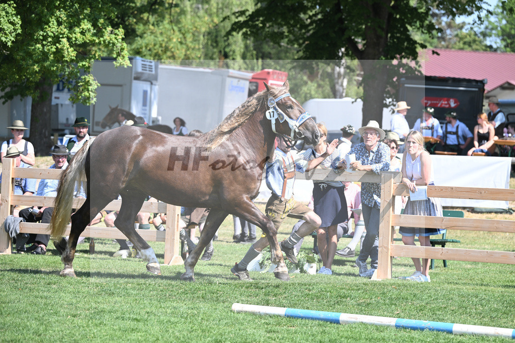 Kat-Nr. 17 Ekaterina_Himmelstoss_20230262 | hf-fotografie - Realisiert mit Pictrs.com