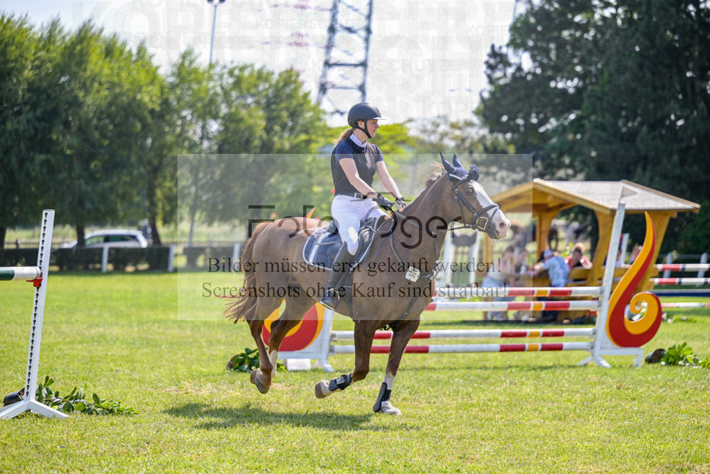 Reitturnier Voxtrup | Entdecke hochwertige Reitturnierfotos von Foto Oger. Professionell, emotional und authentisch – jetzt Lieblingsmomente im Shop bestellen.Deutschlandweite Turnierfotografie. - Realisiert mit Pictrs.com
