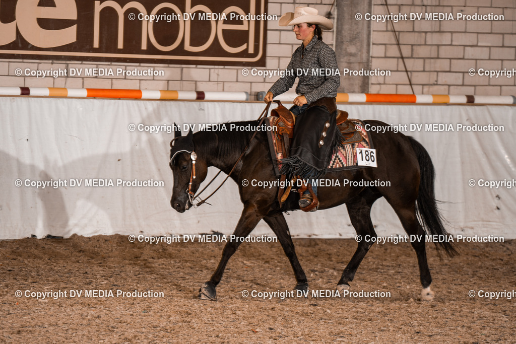 ZH200779 | dv-media-shop - Realisiert mit Pictrs.com