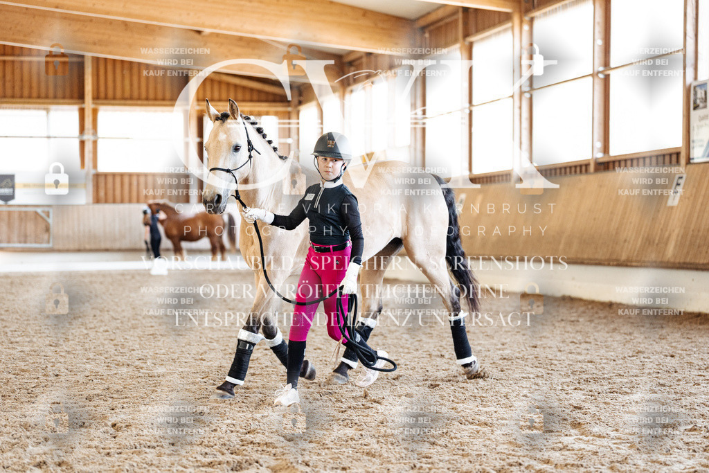 CK907184 | Turnierfotografie Pferdefotografie Trier Rheinland-Pfalz Pferdesport Reitsport Tierfotografie Sportfotografie Pferdevideo Pferdevideografie Equestrianvideography equestrianphotography  - Realisiert mit Pictrs.com