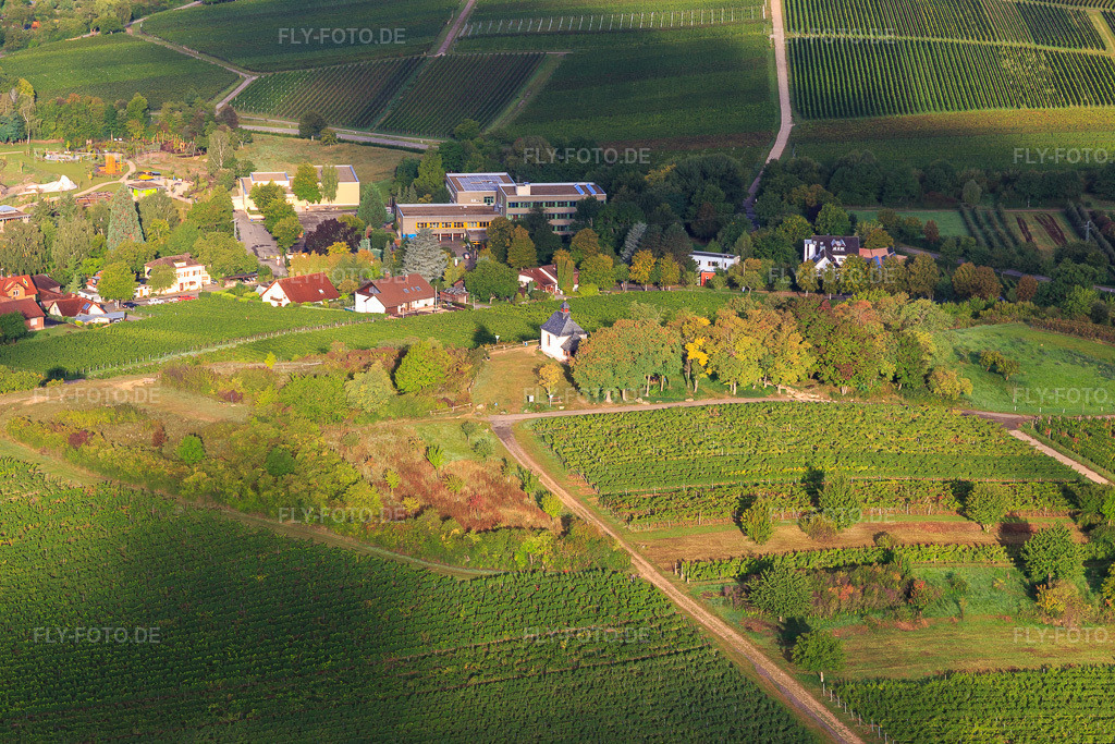 Luftbild: Kapelle Kleine Kalmit aus Osten im Ortsteil Arzheim in Landau im Bundesland Rheinland-Pfalz in Deutschland. Foto: IMG_103317.jpg vom 10.09.2017 durch Werner Riehm/FLY-FOTO.de