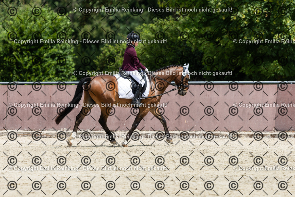 CL5A3839 | Emilia Reinking Fotografie - Realisiert mit Pictrs.com