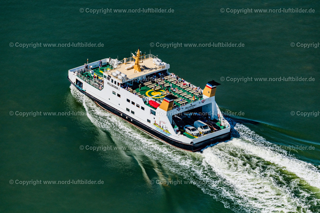 Pellworm_1_Peronen_und_Autofähre_Pellwormer_Dampfschiffahrtsgesellschaft_ELS_8074130822 | PELLWORM 13.08.2022 In voller Fahrt " Pellworm 1 " in Pellworm Nordfriesland im Bundesland Schleswig-Holstein, Deutschland. // At full speed "Pellworm 1" in Pellworm Nordfriesland in the state Schleswig-Holstein, Germany. Foto: Martin Elsen