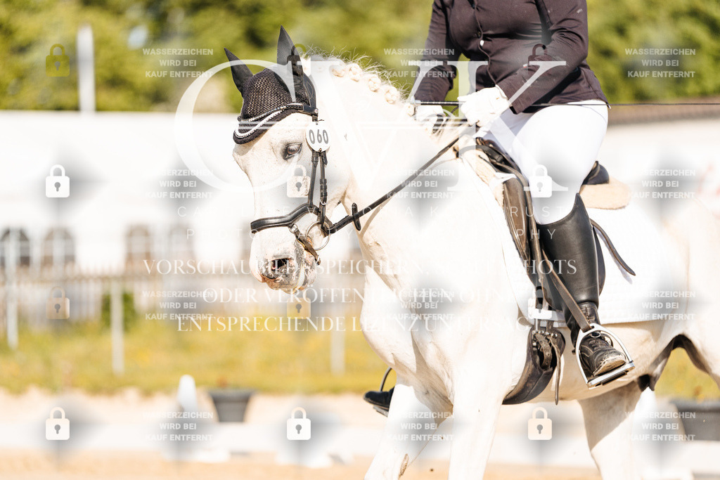 CK900016 | Turnierfotografie Pferdefotografie Trier Rheinland-Pfalz Pferdesport Reitsport Tierfotografie Sportfotografie Pferdevideo Pferdevideografie Equestrianvideography equestrianphotography  - Realisiert mit Pictrs.com