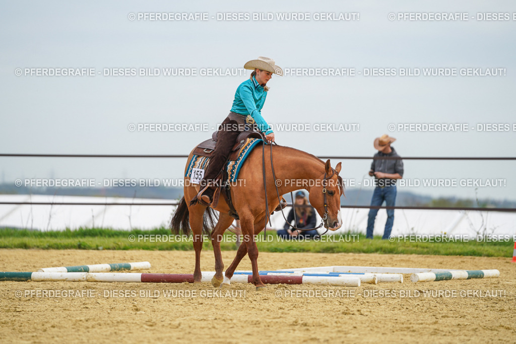 DSC03100 | Pferdegrafie