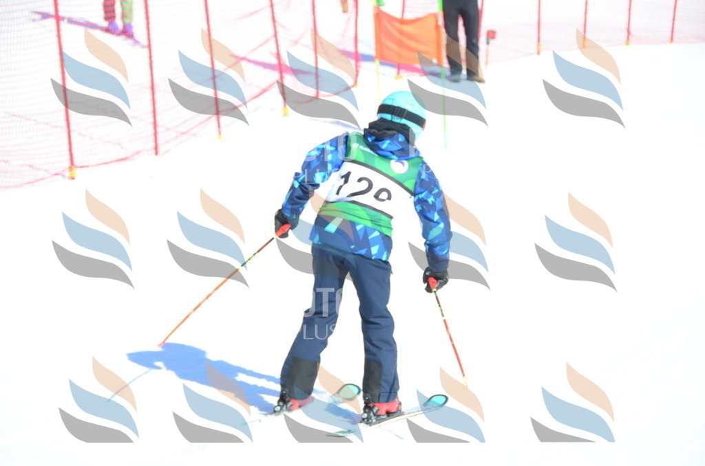 C5900 | holidayphoto