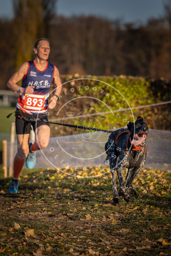 CaniXpix_DV3A4510 | Hundefotografie, Tierfotograf, Pfotenfotografie, Fotoshooting Hund, Hunde Portrait, Hundesport, Hundeportraits, Heideshooting, Hunde, Sportfotograf, Hundefotograf, Turnierhundsport, THS,  - Realisiert mit Pictrs.com