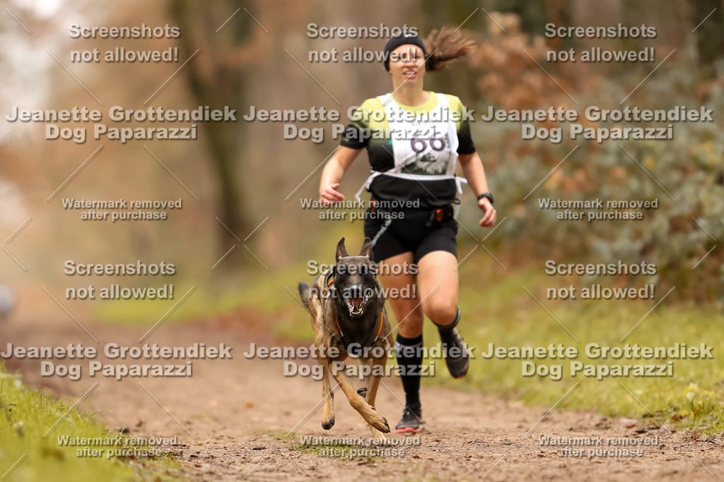 Dog Paparazzi - Speedhunter Mannheim  2025-197 | Dog Paparazzi Jeanette Grottendiek Fotografie & Videografie