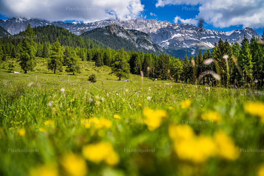 Gaistal | Fotograf Tirol Imst Pixelknipserei