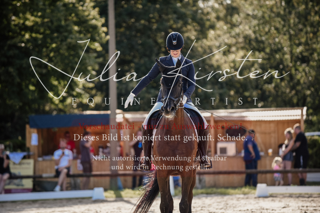 DSC_0543 | Pferde- und Turnierfotografie in Westsachsen. Pferdeportraits, Auftragszeichnungen und intuitive Kunst.