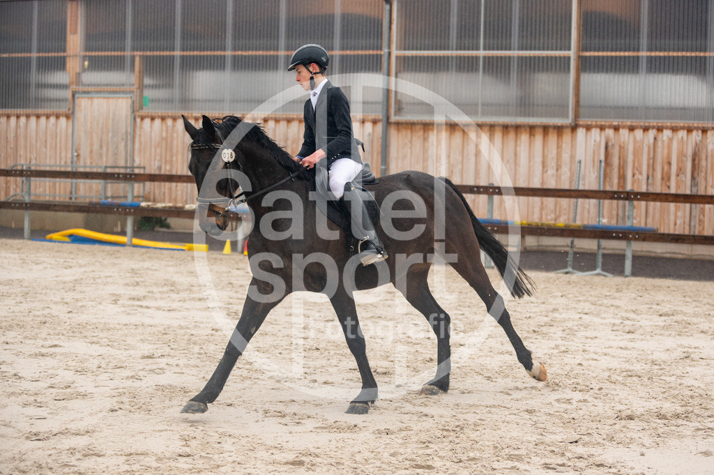 DSC_3771 | sattelsport - Realisiert mit Pictrs.com