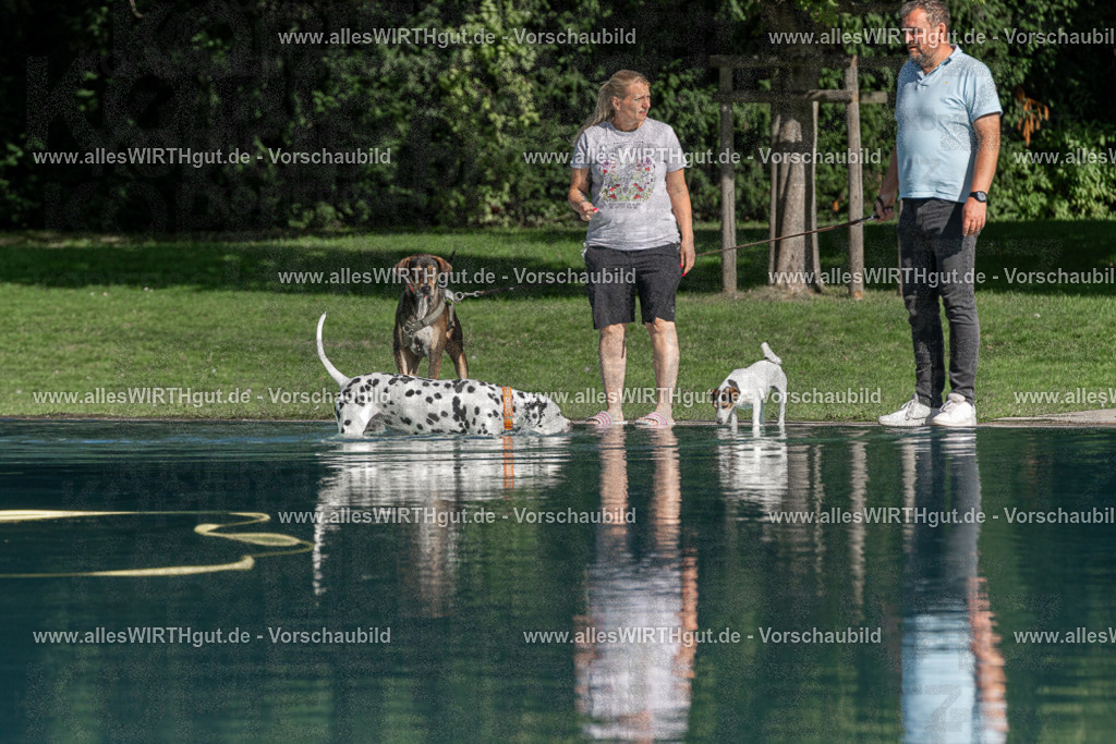 Hundeschwimmen_Volksbad_2026-allesWIRTHgut_Tierfotografie-2609061603-FAY07348 | Professionelle Tierfotografie in Mönchengladbach von Daniel Wirth (allesWIRTHgut). Liebevolle & natürliche Bilder von Hunden & Katzen für unvergessliche Erinnerungen.