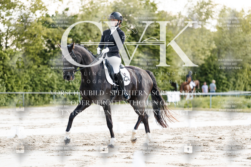 CK909388 | Turnierfotografie Pferdefotografie Trier Rheinland-Pfalz Pferdesport Reitsport Tierfotografie Sportfotografie Pferdevideo Pferdevideografie Equestrianvideography equestrianphotography  - Realisiert mit Pictrs.com