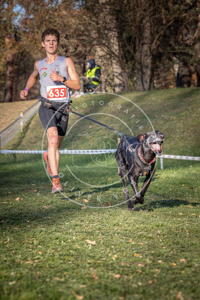 CaniXpix_0L8A8922 | Hundefotografie, Tierfotograf, Pfotenfotografie, Fotoshooting Hund, Hunde Portrait, Hundesport, Hundeportraits, Heideshooting, Hunde, Sportfotograf, Hundefotograf, Turnierhundsport, THS,  - Realisiert mit Pictrs.com