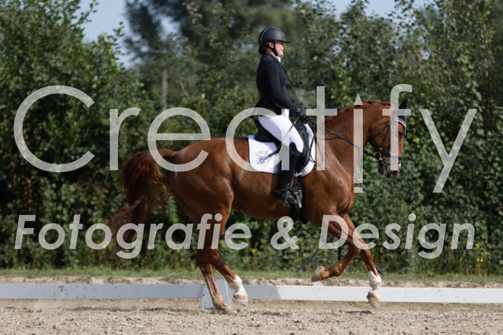 IMG_4001 | Creatify Fotografie