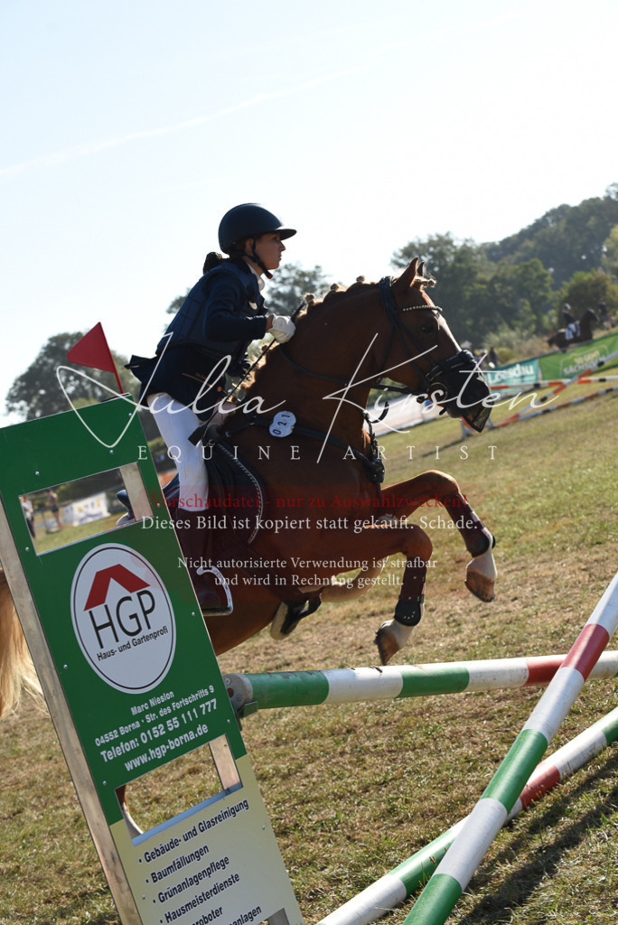 DSC_5657 | Pferde- und Turnierfotografie in Westsachsen. Pferdeportraits, Auftragszeichnungen und intuitive Kunst.