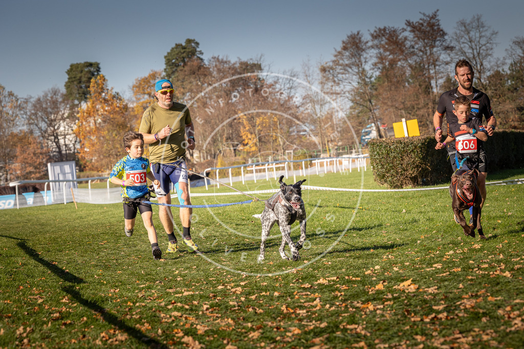 CaniXpix_0L8A6719 | Hundefotografie, Tierfotograf, Pfotenfotografie, Fotoshooting Hund, Hunde Portrait, Hundesport, Hundeportraits, Heideshooting, Hunde, Sportfotograf, Hundefotograf, Turnierhundsport, THS,  - Realisiert mit Pictrs.com