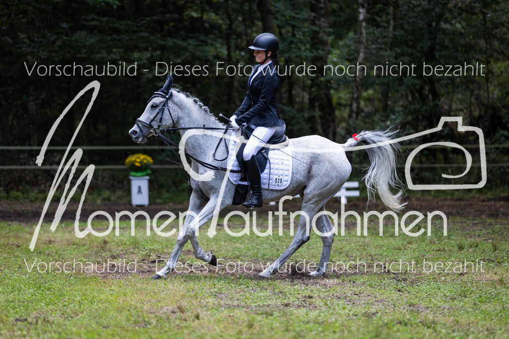 HB-Dressur-WB-034 | MomenTaufnahmen Pferdesportfotos