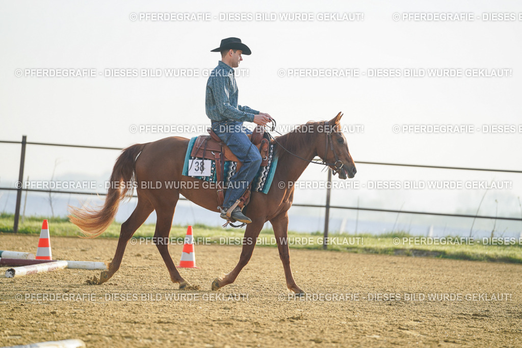 DSC09702 | Pferdegrafie