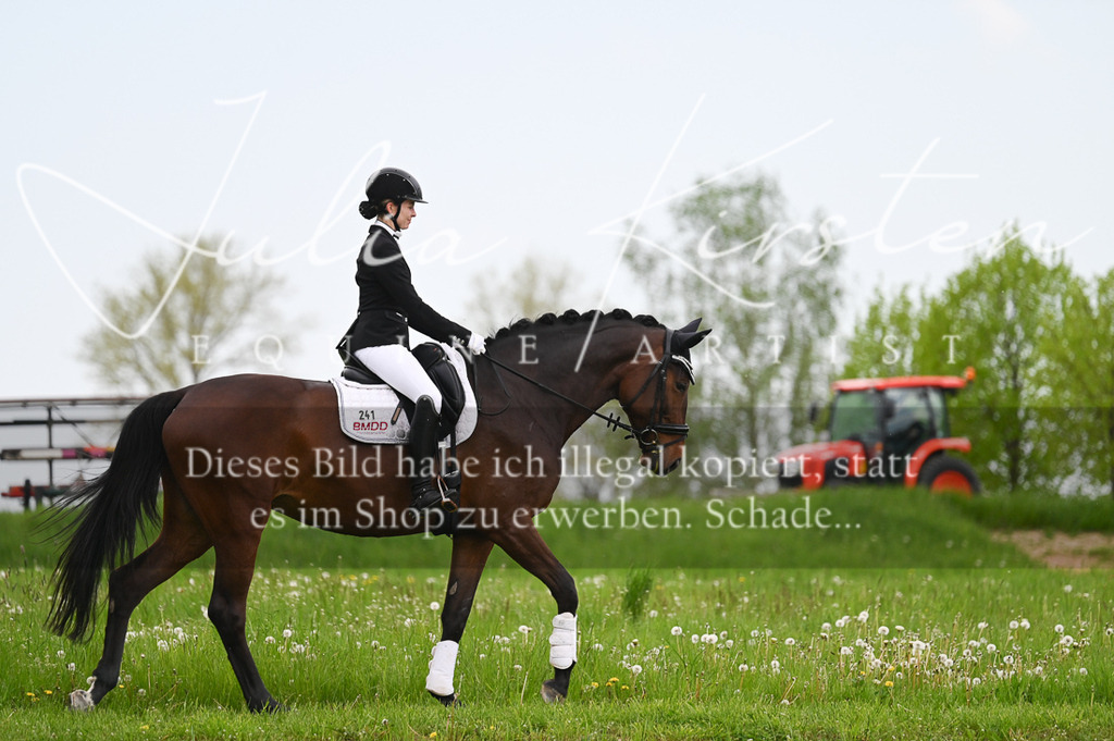 20230512_JK-Röhrsdorf-03-097 | Pferde- und Turnierfotografie in Westsachsen. Pferdeportraits, Auftragszeichnungen und intuitive Kunst.