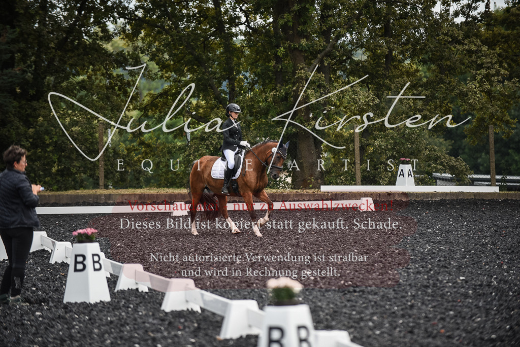 DSC_4502 | Pferde- und Turnierfotografie in Westsachsen. Pferdeportraits, Auftragszeichnungen und intuitive Kunst.