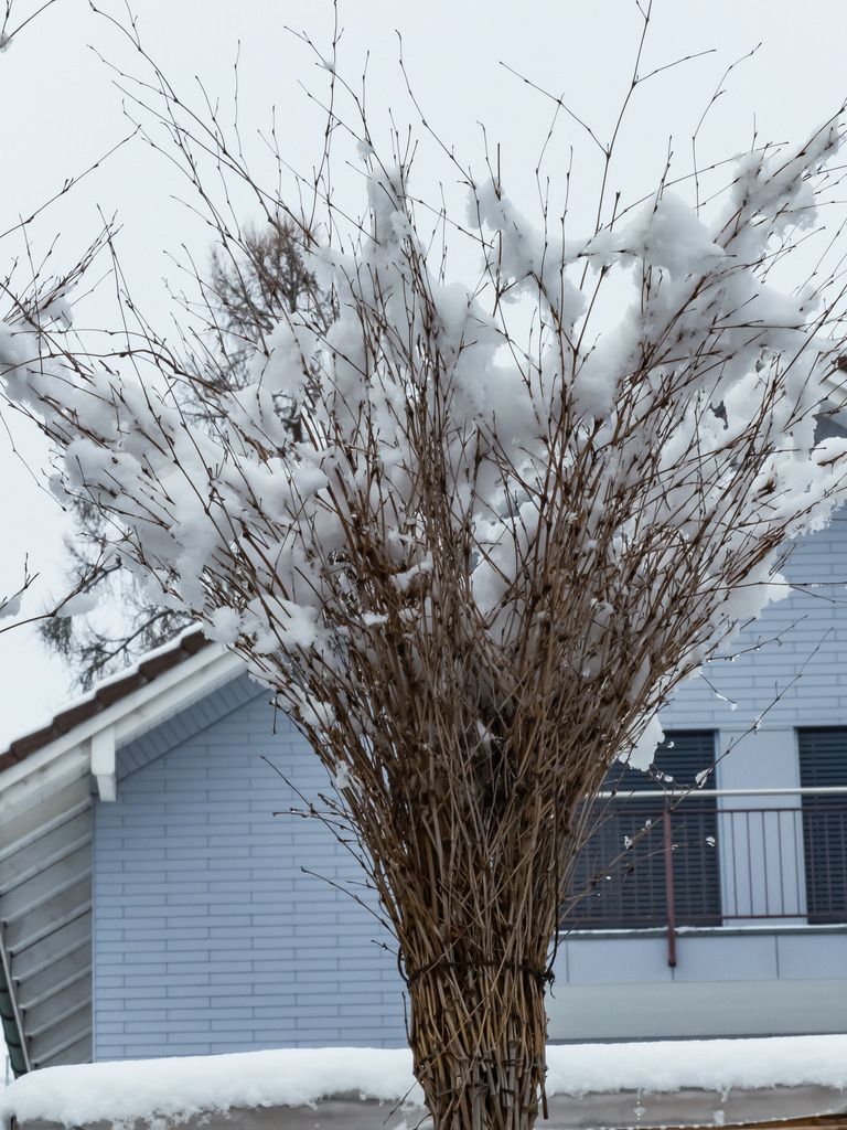 PSX_20230312_002100 | mtkfoto_ - Realisiert mit Pictrs.com