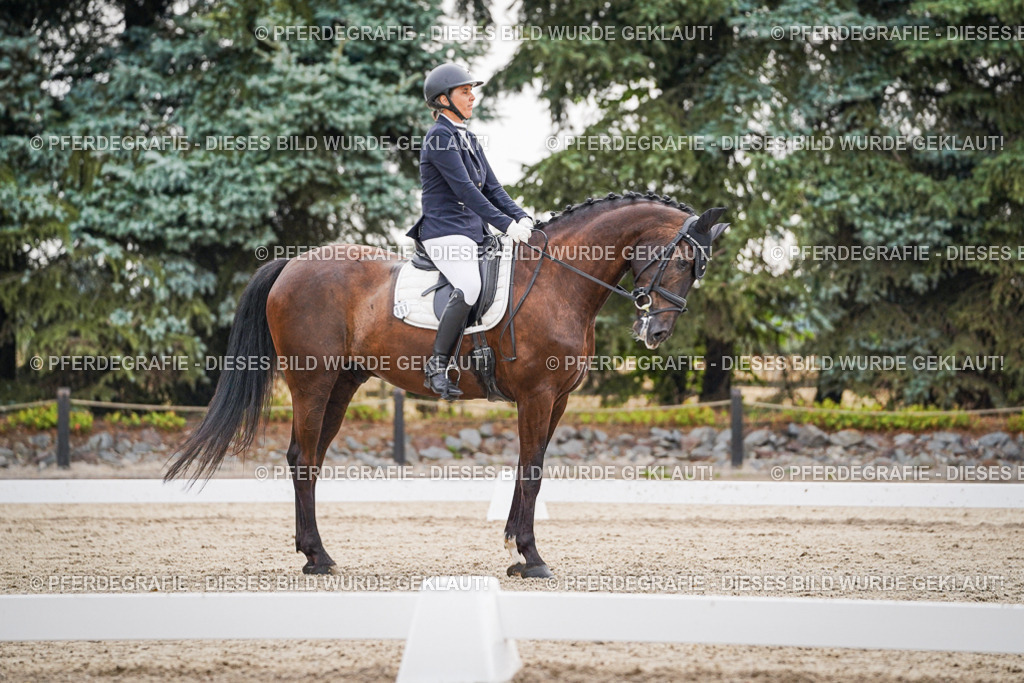 DSC00302 | Pferdegrafie