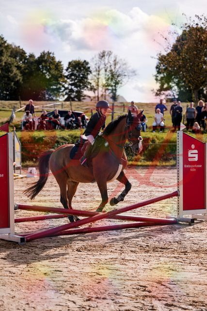 2026_10_03_Siefer-Hof_143753_Z81_06932770 | Professionelle Reitsport-, Turnier- und Eventfotografie von Robert Broda. Galerien mit ausgewählten und bearbeiteten Bildern direkt online ansehen und bestellen.