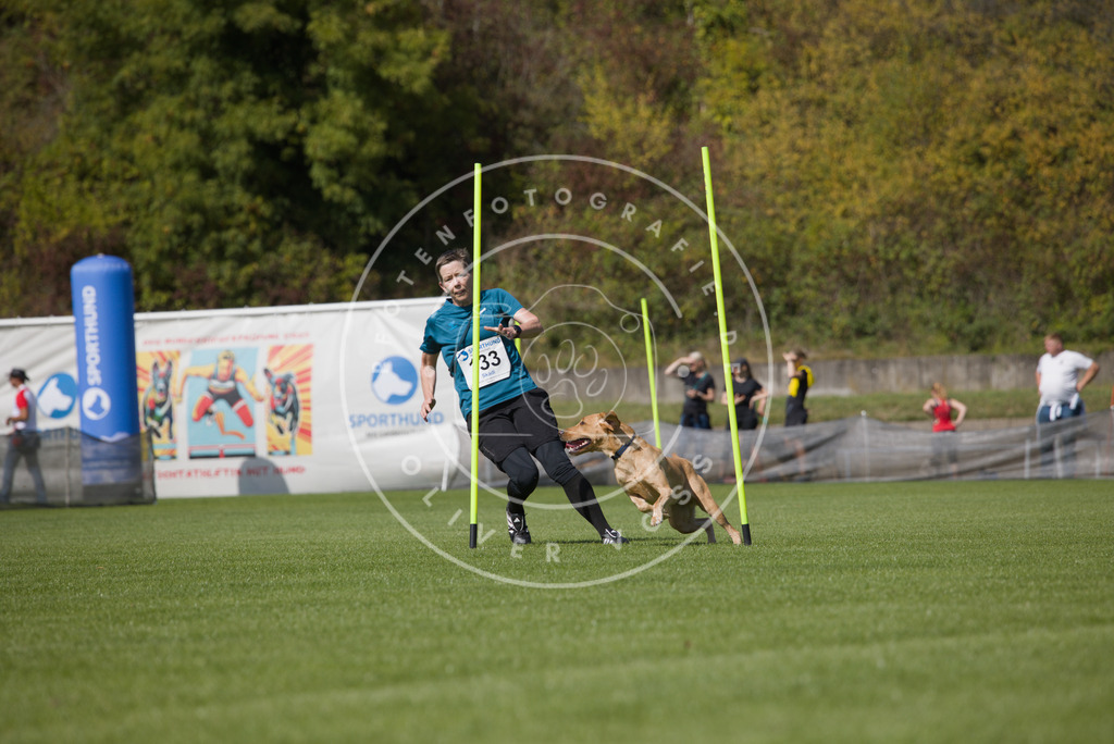 0L8A2947 | Hundefotografie, Tierfotograf, Pfotenfotografie, Fotoshooting Hund, Hunde Portrait, Hundesport, Hundeportraits, Heideshooting, Hunde, Sportfotograf, Hundefotograf, Turnierhundsport, THS,  - Realisiert mit Pictrs.com