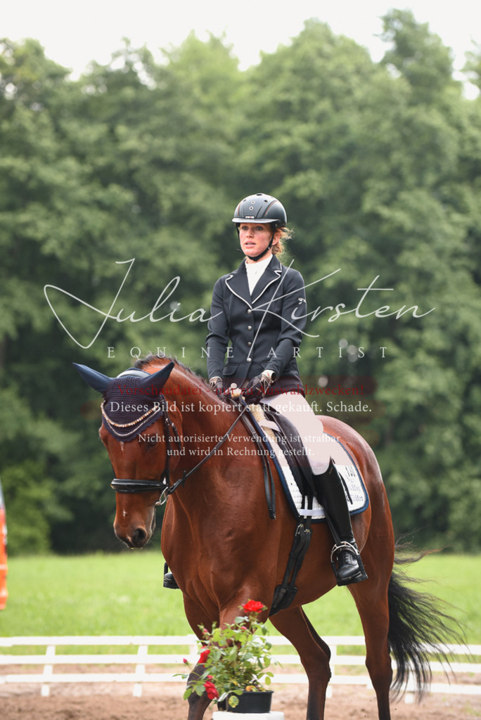 DSC_0207 | Pferde- und Turnierfotografie in Westsachsen. Pferdeportraits, Auftragszeichnungen und intuitive Kunst.