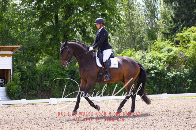 DKP41018 | Turnierfotos kaufen im Webshop von Daniel Kuhl Photography – entdecke professionelle Reitsportfotos aus Turnieren & Events. Hochwertige Turnierbilder online bestellen & sichern. Jetzt Fotos von Reitsportturnieren kaufen!