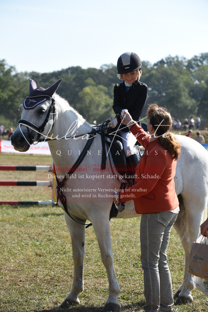 DSC_6147 | Pferde- und Turnierfotografie in Westsachsen. Pferdeportraits, Auftragszeichnungen und intuitive Kunst.