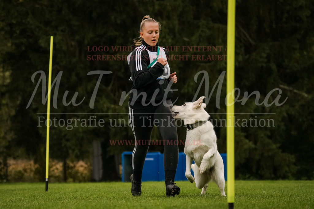 20251005_THS_Turnier-414 | MuT (Mensch und Tier) mit Mona - Fotografie und Tierkommunikation - Realisiert mit Pictrs.com